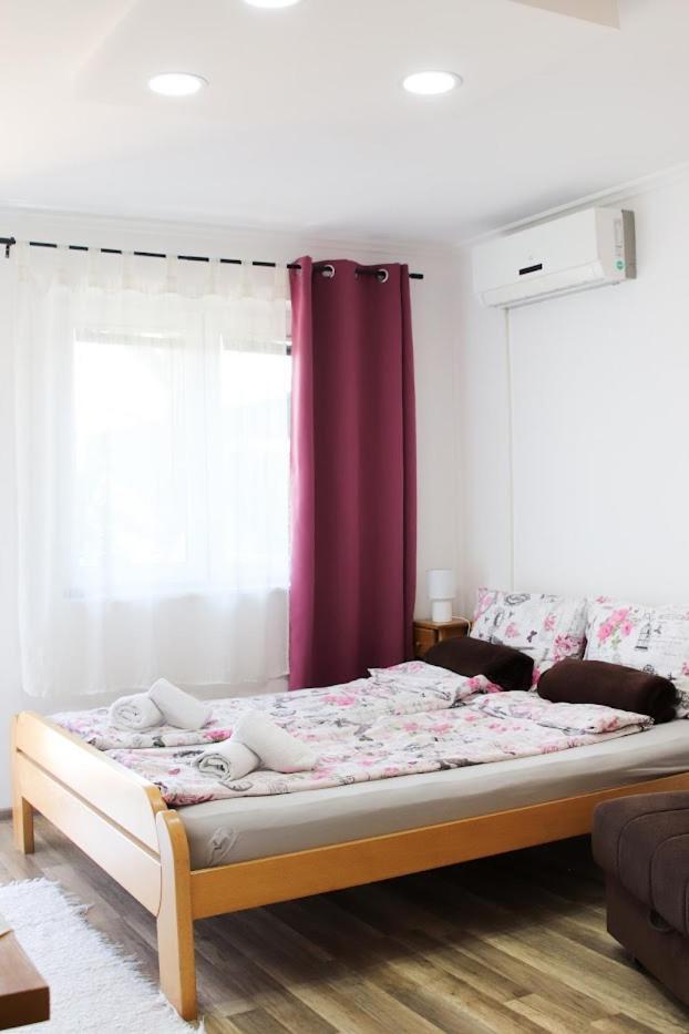 Charming Studio Masa Palić Exteriör bild